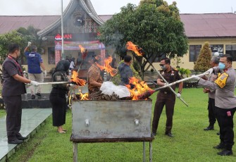 Satresnarkoba Polres Pasaman Barat gelar kegiatan pemusnahan barang bukti Narkoba jenis daun ganja kering hasil tangkapan Satresnarkoba Polres Pasaman Barat, Selasa (12/12/2023)