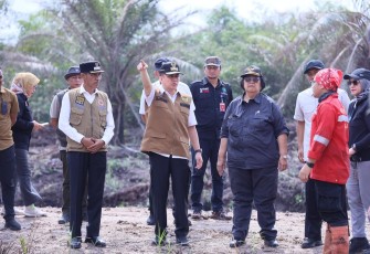 Pj Gubernur Agus Fatoni bersama Menteri LHK saat Tinjau Lokasi Karhutla di Desa Jungkal OKI