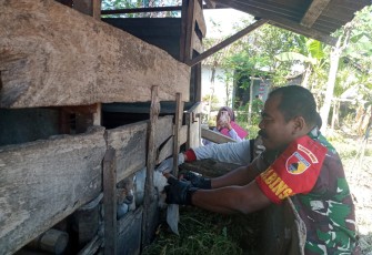 Babinsa Rejomulyo Dampingi Petugas DKPP Lakukan Vaksinasi