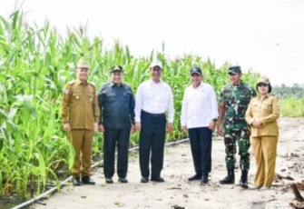 Mentan Andi Amran Sulaiman saat berkunjung ke lahan Food Estate pertanaman jagung di Kabupaten Gunung Mas, Kalimantan Tengah. 