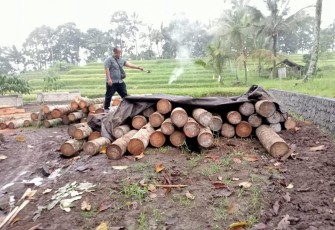 Kayu hasil penebangan liar