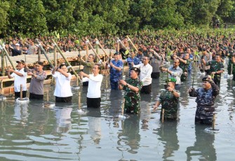 Pangkoopsud I Marsda TNI Bambang Gunarto saat tanam mangrove 