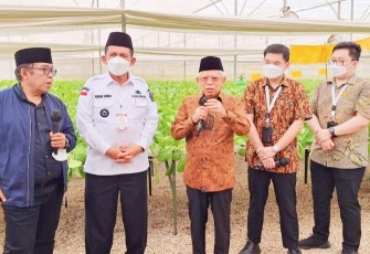 Wapres RI dan Gubernur Kepri Tinjau Pusat Pertanian Modern di Batam 