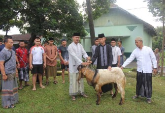 Danmenarmed 2 Kostrad Kolonel Arm Joko Setiyo Kurniawan saat menyerahkan hewan qurban 