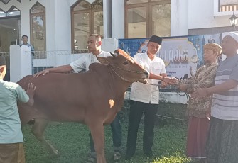 Danyonif 301/PKS Mayor Inf Henggar Tri Wahono saat menyerahkan hewan qurban 