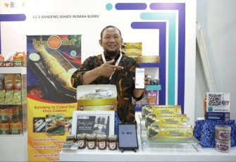 PLN Gebyar Kemerdekaan 2023 Promo Tambah Daya