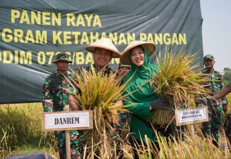 Danrem 071 Wijayakusuma Kolonel Czi Mohammad Andhy Kusuma saat panen padi Protangguh di Kabupaten Batang, Senin (21/8)