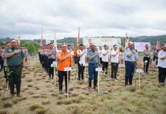 Penanaman mangrove dipesisir Teluk Kendari 