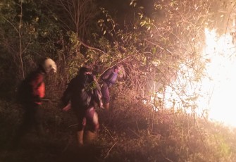 Keterangan Foto: Upaya pemadaman karhutla di Gunung Merbabu, Kabupaten Semarang, Jawa Tengah, Selasa (26/9)