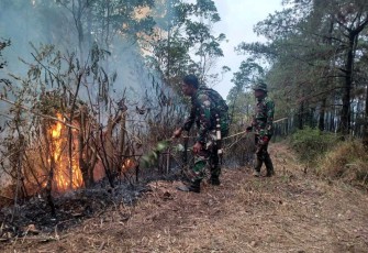 Prajurit Korem 081/DSJ saat memadamkan kebakaran hutan