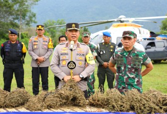 Pangdam I/BB dan Kapolda Sumut Musnahkan Ladang Ganja 150 Ha di Madailing Natal 