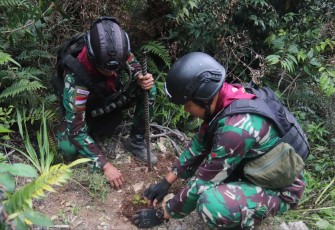 Penanaman bibit pohon reboisasi hutan gundul di Kabupaten Intan Jaya 