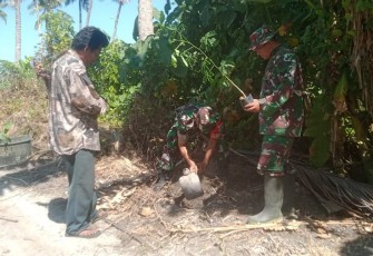 Penanaman bibit pohon cegah bencana alam