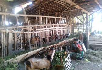 Penyemprotan kandang warga binaan