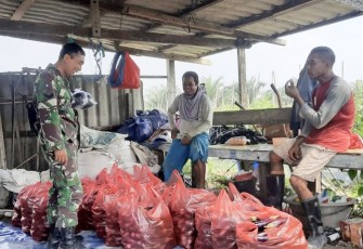 Pendampingan Babinsa kepada petani terong di wilayah desa binaan