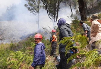 Karhutla Terjadi di Bukit Teletubies Gunung Bromo