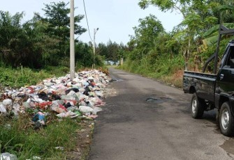  Sampah di Beringin Raya Kembali Menumpuk 