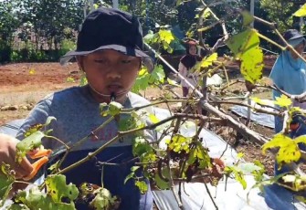 Salah satu metode pembelajaran di sekolah Alfa Kids