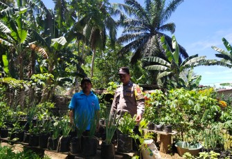 Bhabinkamtibmas Polsek Putri Hijau Kunjungi Lahan Holtikultura