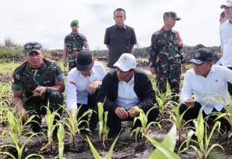 Panglima Kodam XII/Tanjungpura Mayjen TNI Iwan Setiawan, S.E., M.M., mendampingi Menteri Pertanian Republik Indonesia Amran Sulaiman meninjau sejumlah lokasi Food Estate di wilayah Provinsi Kalimantan Tengah