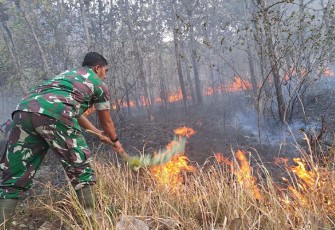 Babinsa Ngepeh Sertu Mugianto Selamatkan Lingkungan dari Kebakaran Hutan