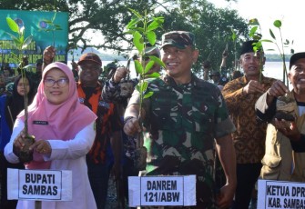 Danrem 121/ABW Ajak Seluruh Lapisan Masyarakat Menanam Pohon Mangrove