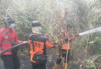 Petugas BPBD Kabupaten Penajam Paser Utara bersama tim gabungan sedang melakukan upaya pemadaman kebakaran hutan dan lahan yang melanda Desa Petung, Kecamatan Penajem, Kalimantan Timur, Kamis (31/8).