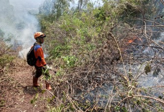 Tim Gabungan Masih Berupaya Padamkan Api di Lereng Gunung Panderman Kota Batu