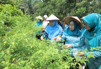 Tim Monitoring TP PKK Sumut Kunjungi Kabupaten Asahan