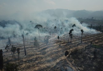 Karhutla Berhasil dipadamkan Kebakaran di Tebo