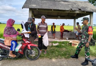 Babinsa Sosialisasikan Pembasmian Hama Tikus Ramah Lingkungan