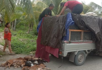 Lanal Mamuju bekerjasama dengan Karantina Pertanian Sulawesi Barat (Sulbar) berhasil menggagalkan upaya penyelundupan daging anjing sebanyak 2 ton asal Kalimantan tanpa dilengkapi dokumen yang sah, di Pelabuhan Mamuju, Sulawesi Barat, Jumat (22/12) lalu