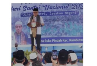 Penjabat Bupati Banyuasin H Hani Syopiar Rustam SH