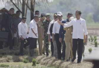Presiden, Joko Widodo (Jokowi) didampingi Menteri Pertanian, Andi Amran Sulaiman (Mentan Amran), melakukan percepatan tanam dan olah tanah di Desa Kaibahan, Kecamatan Kesesi, Kabupaten Pekalongan. Rabu (13/12)