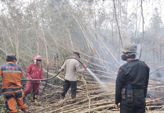 Tim Satgas Darat dan Udara Kendalikan Karhutla di OKI