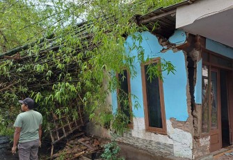 Satu rumah tertimpa pepohonan akibat angin kencang melanda Bondowoso