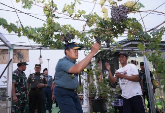 Panglima TNI Laksamana TNI Yudo Margono S.E., M.M. melaksanakan pengecekan langsung ke lapangan untuk memastikan kelancaran pelaksanaan Gerakan Nasional Ketahanan Pangan di lingkungan TNI, di Ds. Wanajaya, Kec. Cibitung, Kab. Bekasi, Jawa Barat, Selasa (31/10/2023).