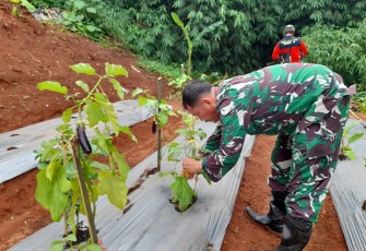 Kodim 0505/Jakarta Timur Dukung Ketahanan Pangan