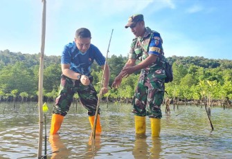 anud Mus saat Laksanakan Karya Bakti Tanam Mangrove