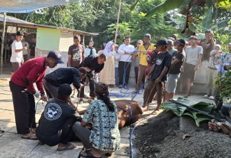 Pemotongan hewan kurban 