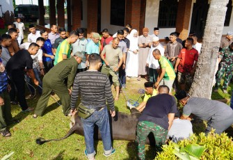 Danrem 041/Gamas Brigjen TNI Rachmad Zulkarnaen saat hadir dalam prosesi pemotongan hewan kurban