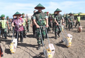 Kepala Staf Angkatan Darat (Kasad) Jenderal TNI Maruli Simanjuntak, M.Sc Tanam Jagung 