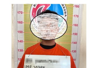 Tersangka DF dan barang bukti saat diamankan Satuan Reserse Narkotika Polres Tapsel untuk dilakukan pemeriksaan lebih lanjut