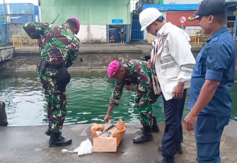 Pelni Ambon memastikan Keberadaan Personel Pengamanan Marinir adalah bentuk kerjasama PT. Pelni Pusat dengan TNI Angkatan Laut untuk membantu PT. Pelni dalam memperlancar proses pelaksanaan Embarkasi - Debarkasi penumpang dan barang di pelabuhan dan armada kapal Pelni