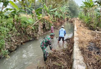 Babinsa Bersama Masyarakat Desa Banjarsari Wetan Gelar Karya Bhakti Bersihkan Saluran Irigasi