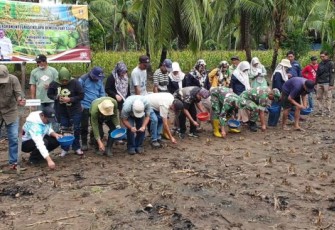 Kementan Pencanangan Penanaman Padi Gogo Tumpang Sari Kelapa