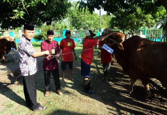 Danpuspenerbal, Laksamana Muda TNl Sisyani Jaffar saat menyerahkan secara simbolis 58 ekor hewan kurban kepada Panitia Idul Adha Puspenerbal 2024 usai pelaksanaan Solat Idul Adha 1445 H di halaman Mesjid As Suhada, Lanudal Juanda, Senin (17/6/2024).