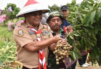 Kasdam Jaya Brigjen TNI Tatang Subarna saat panen buah lengkeng
