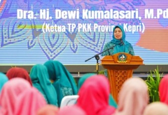 Ketua TP PKK Kepri Hadiri Workshop Peningkatan Pelayanan Kader Posyandu di Tanjungpinang dan Bintan