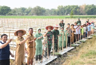 Danrem 081/DSJ Galakkan Budidaya Melon Jenis Ini di Madiun
